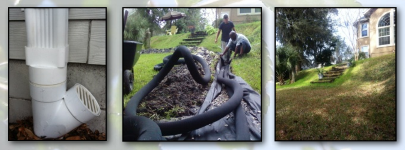 Landscaping in Alachua